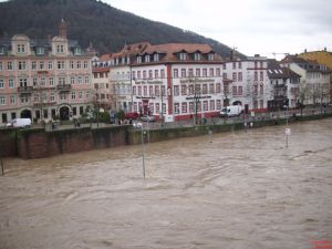 Neckarstaden mit Hochwasser