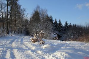 Winterlandschaft Odenwald